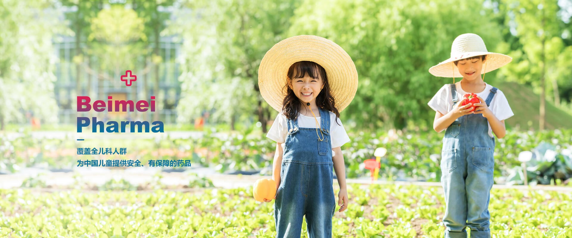 2022年11月j9集团国际站官网药业自主研发的又一个品种，获得生产许可B证！